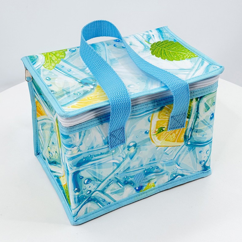 Cooler Bag Insulated