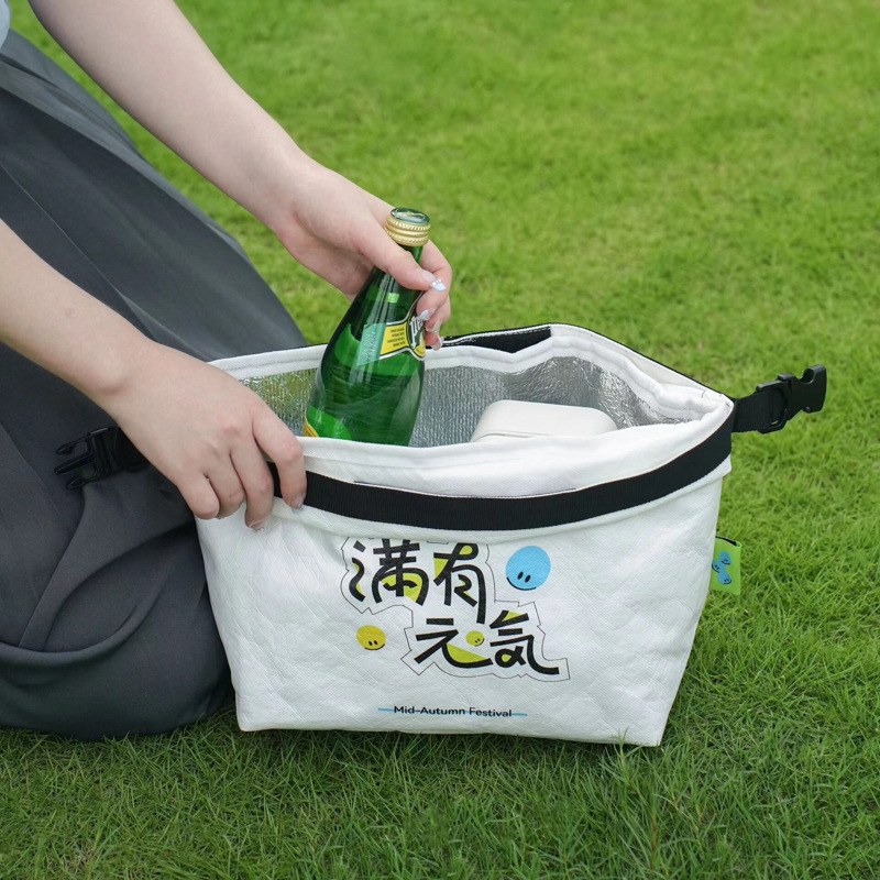 Tyvek Insulated Cooler Bags